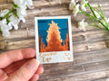 Bamboo Base Polaroid Vinyl Sticker